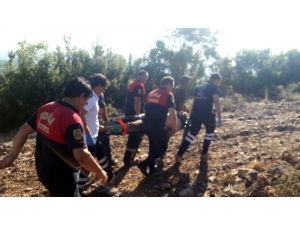 Devrilen Traktörün Altında Kaldı