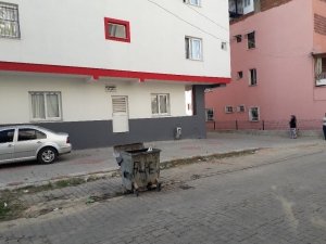 Çöpe Atılan Bebek Köpekler Parçalamadan Kurtarıldı