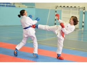 Tatamide Başarı Sürüyor