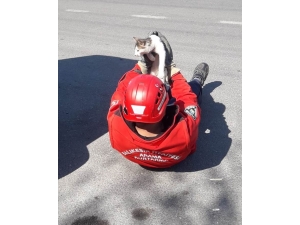 Burhaniye’de İtfaiyeden Kedi Kurtarma Operasyonu
