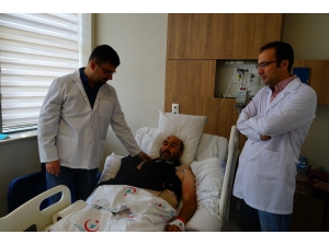 Ceviz Ve Kestane Ağacından Düşen 150 Kişiden 15’i Yoğun Bakımda