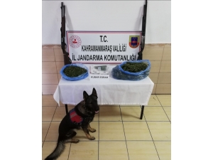 Elbistan’da Uyuşturucu Ticareti Yapan 2 Kişi Yakalandı