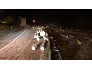 Kavak Yüklü Kamyon Devrildi; 1 Yaralı