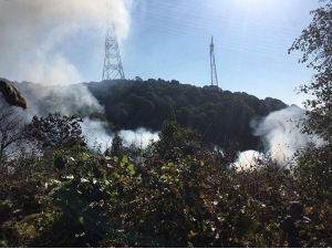 Beykoz Anadolu Kavağı’nda Ormanlık Alanda Yangın