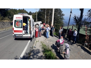 Patpata Çarpan Pikap Şarampole Uçtu: 4 Yaralı