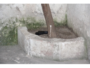 Sokak Ortasında Cinayet