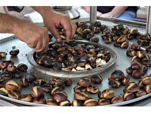 Dalında 10 Lira, Mangalda 70 Lira