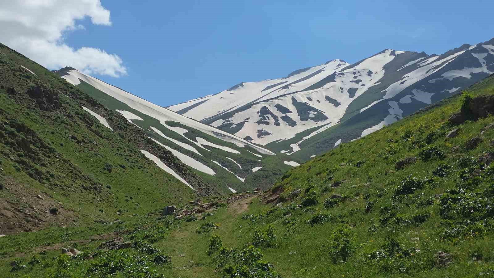 haziran-ayinda-karda-kayip-kartopu-oynadilar