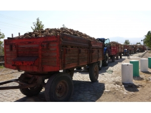 Elazığ’da 165 Bin Ton Üretimi Beklenen Pancarın Alım Kampanyası Başladı