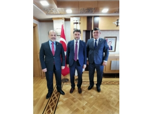 İncir Üreticilerine Müjde