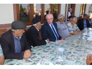 Kazım Kurt Koca Çınarları Unutmadı