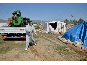 Tarım İşçilerinin Çadırları İlaçlanıyor