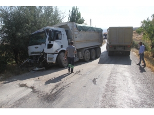 Kamyonlar Çarpıştı: 1 Yaralı