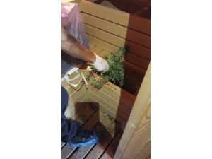 Çorlu’da Uyuşturucu Operasyonu: 3 Gözaltı