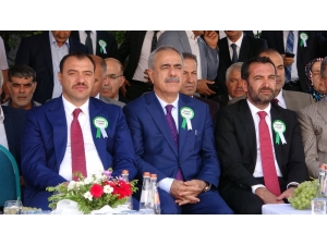 Türkiye Tarım Ve Gıda Ürünlerinde 69 Milyar Dolar İhracat Fazlası Verdi