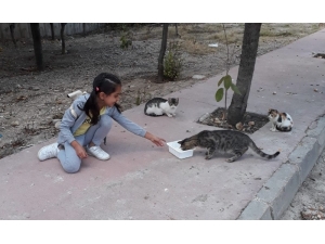 Minikler, 4 Ekim Dünya Hayvanları Koruma Günü’ne Dikkat Çekti