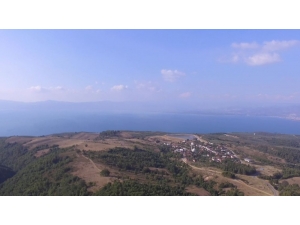 700 Bin Meşe Ve Kayın Ağacı Kurtuldu