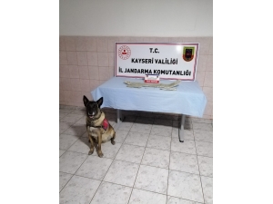 Jandarmadan Uyuşturucu Operasyonu