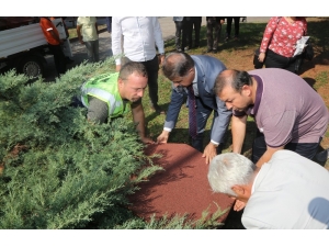 Deveci: "Atakum Belediyesi Canlı Dostudur"