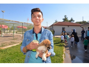 Öğrencilerden Sokak Hayvanları Tedavi Merkezine Ziyaret