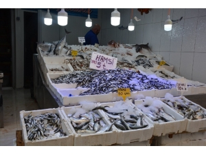 Hamsinin Fiyatı Dibi Gördü