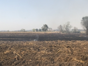 Şehrin Üstündeki Dumanın Anız Yangınlarından Çıkan Duman Olduğu Belirlendi