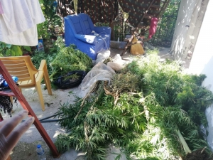 Hatay’da Uyuşturucu Operasyonu: 1 Gözaltı