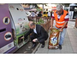 Terme’de Hayvanlar İçin Etkinlik