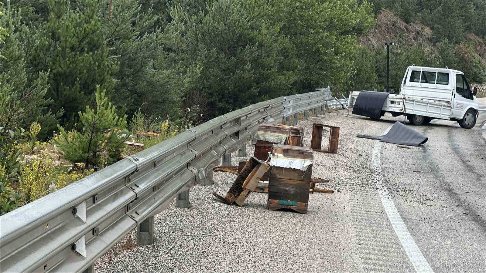 kastamonu-da-kamyonet-bariyerlere-carpti-etrafa-sacilan-kovandaki-arilar-telef-oldu