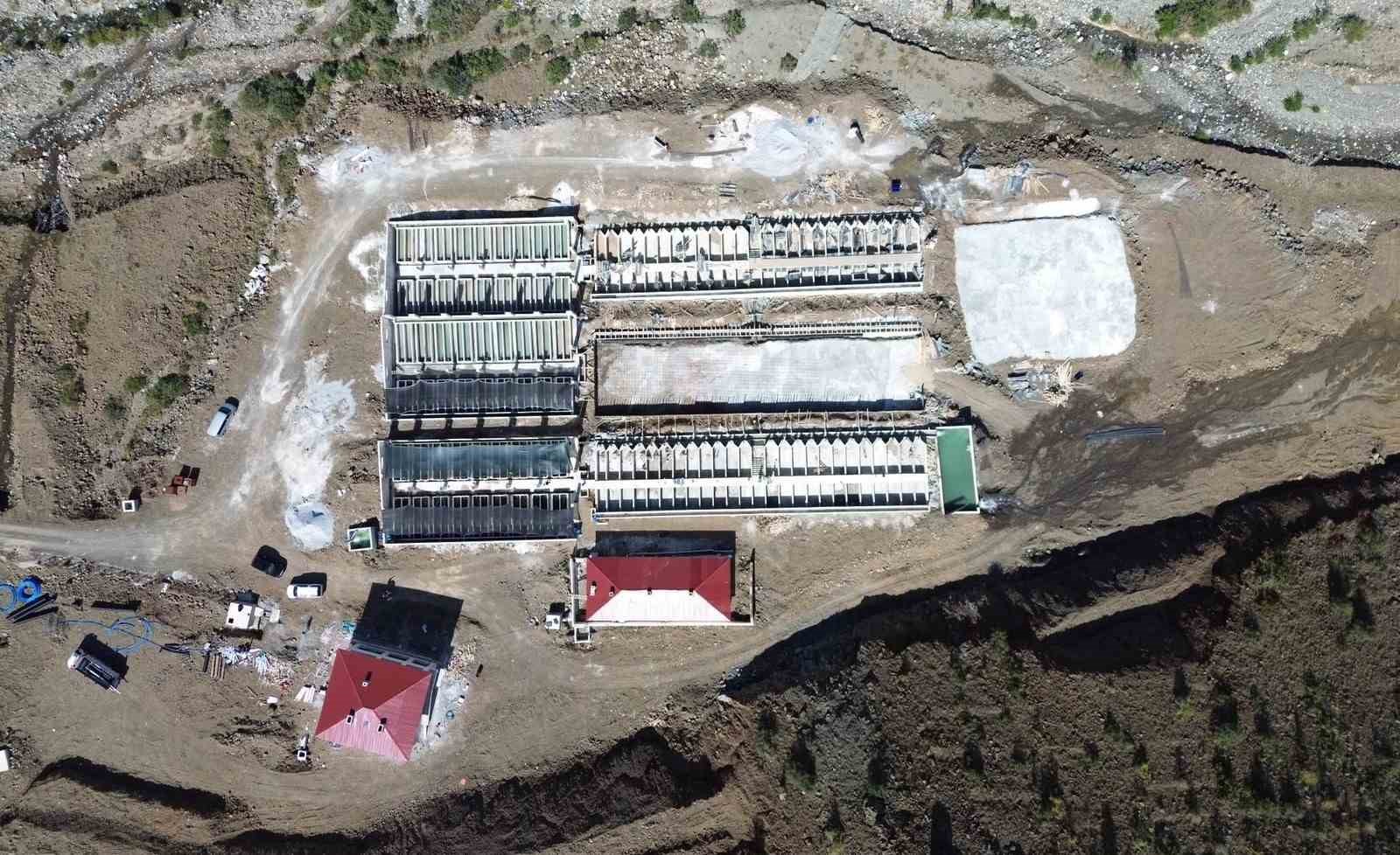 erzincan-dan-18-ulkeye-somon-yolculugu
