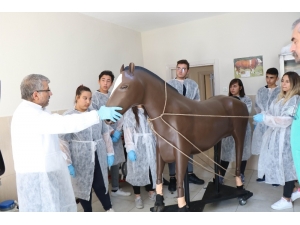 ‘Cengaver’li Ders