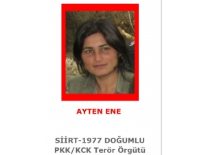 İçişleri Bakanlığı: "4 Milyon Tl Ödülle Kırmızı Listede Aranan Sözde Dersim Saha Sorumlusu "Çiçek" Kod Adlı Ayten Ene Etkisiz Hale Getirildi".