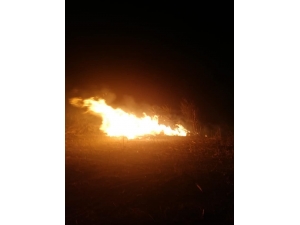 Bayırköy’de Anız Yangını