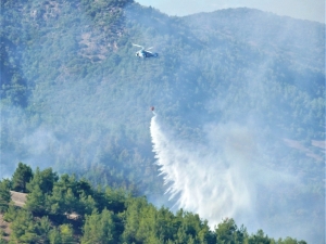 Arsuz’da Orman Yangını