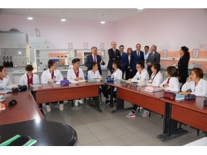 Deterjan Fabrikası Gibi Okul