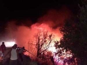 Samandağ’da Otluk Alanda Çıkan Yangın Korkuttu