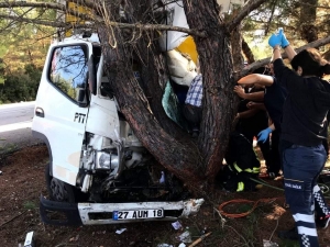 Kargo Aracı Ağaca Çarptı: 1 Yaralı