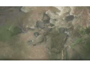 Taylan’da Milli Parkta 6 Fil Boğuldu