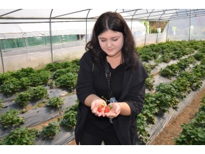 Çilek Yüz Güldürdü