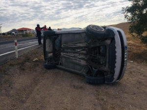 Köpeğe Çarpmamak İçin Kaza Yaptı