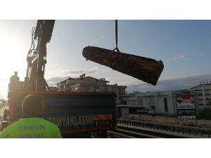 Yola Dökülen Tomruklar Kazaya Neden Oldu