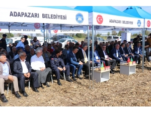 Sakarya Mısır Sektöründe 7’nci Sırada