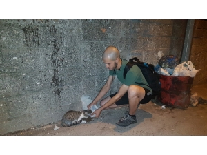 Hayatını Sokak Hayvanlarına Adadı