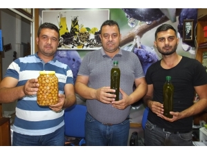 Burhaniye’de Zeytinyağındaki Kalite Üreticiyi Sevindirdi