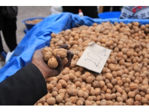 Ceviz Kalp Damar Sağlığını Korur