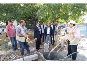 Haliliye’de Ağaçlar Toprakla Buluşuyor