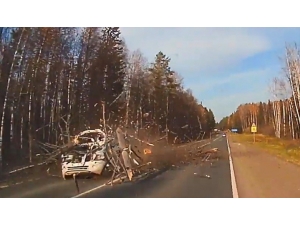 Rusya’da Devrilen Ağaç Otomobili Parçaladı