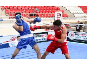 Türkiye Büyük Erkekler Ferdi Boks Şampiyonası Erzincan’da Başladı