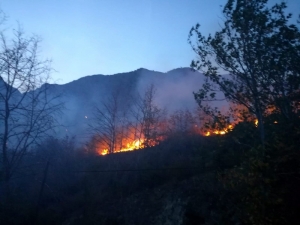 Kemaliye’de Meyve Ağaçları Yanarak Kül Oldu