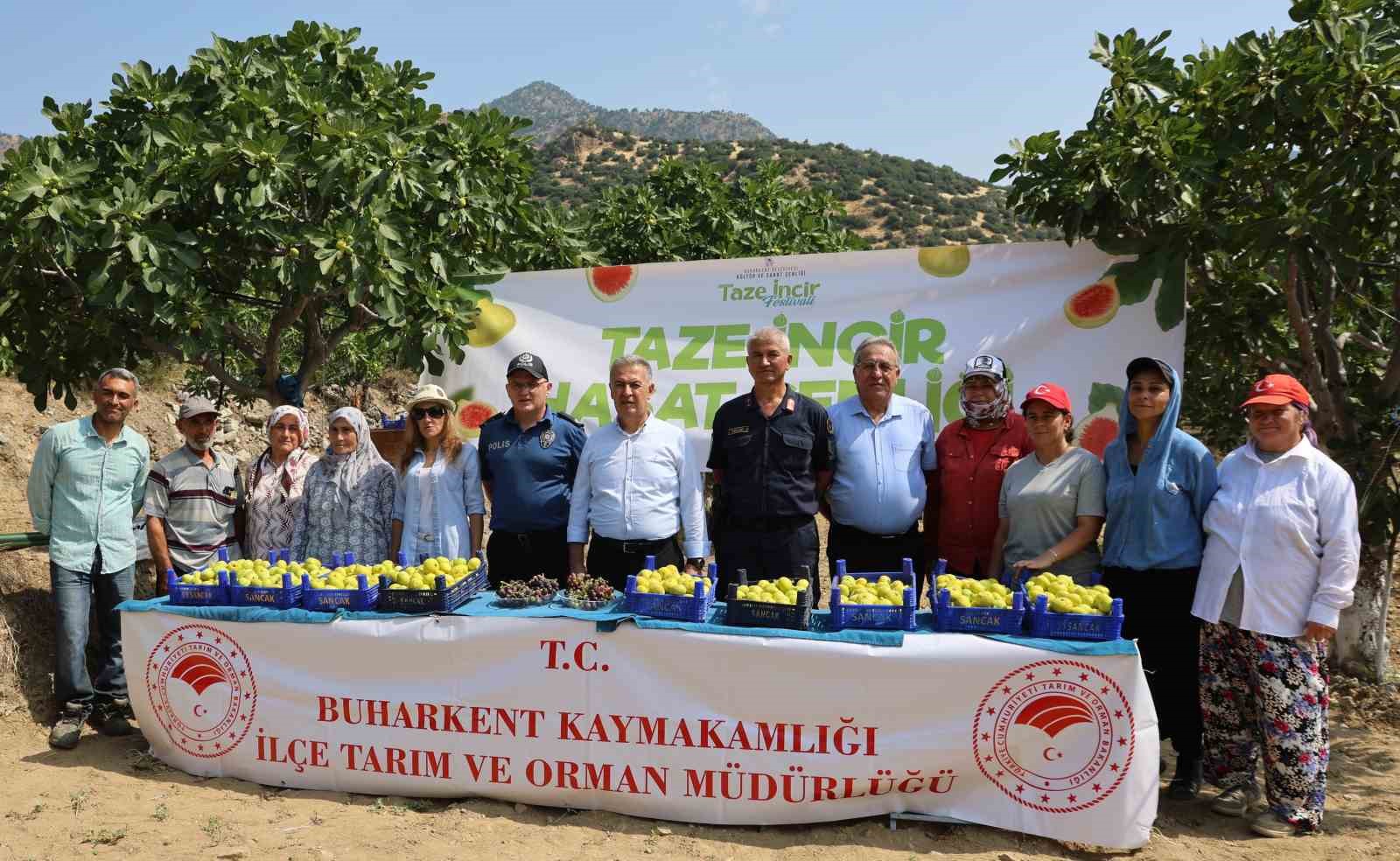 buharkent-te-taze-incir-hasadi-basladi